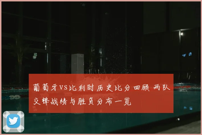 葡萄牙vs比利时历史比分回顾 两队交锋战绩与胜负分布一览