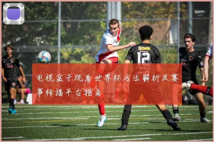 电视盒子观看世界杯方法解析及赛事转播平台指南