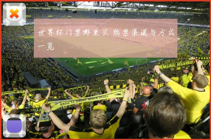 世界杯门票哪里买 购票渠道与方式一览
